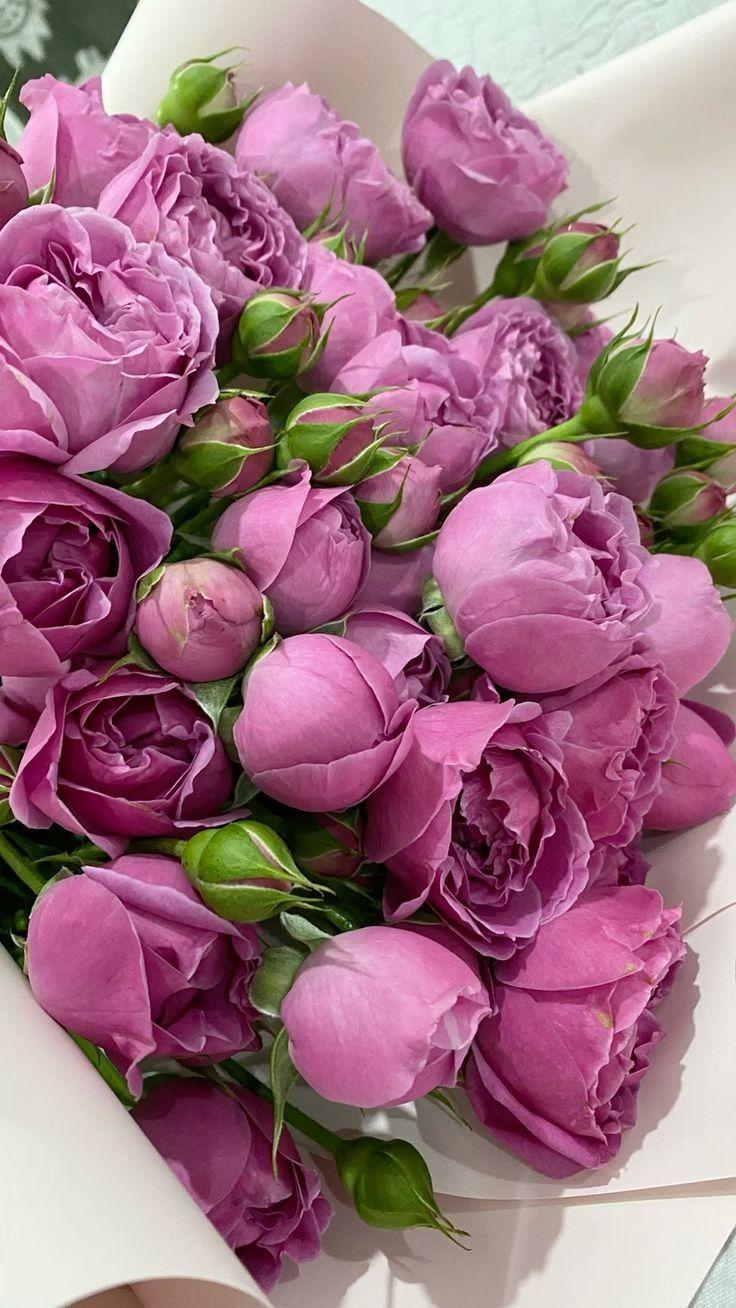 Corporate floral consultation example